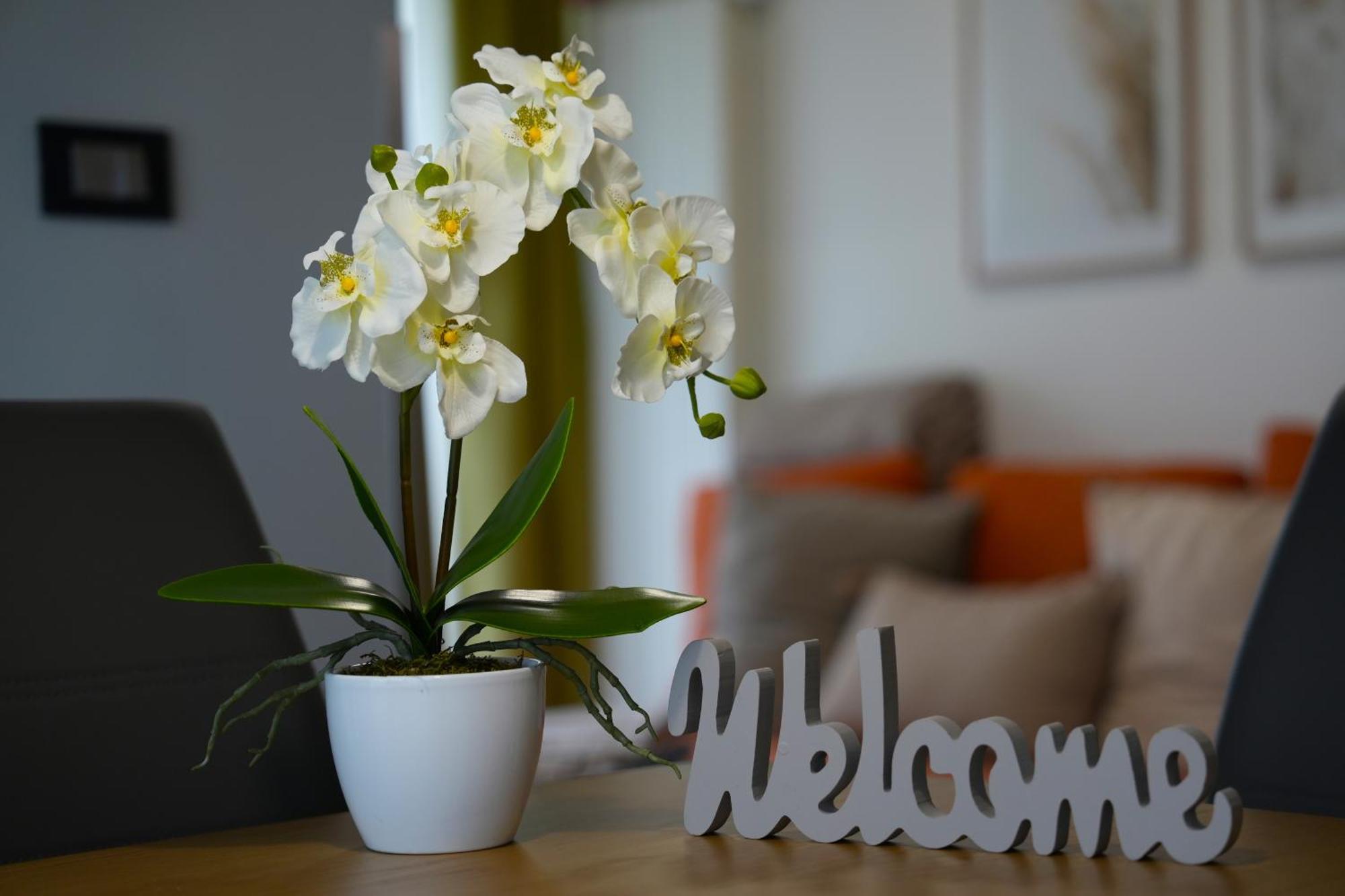 Ferienhaus Apartma Pikabooth *